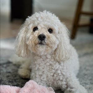 Meet your Posher, Jenna